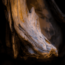 Амбра древесный в ароматах JOY PREMIUM