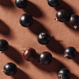 Чёрная смородина в ароматах JOY PREMIUM