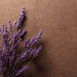 Лаванда в ароматах JOY PREMIUM