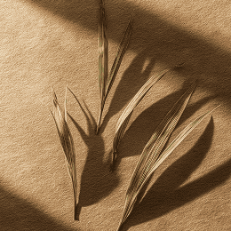 Лемонграсс в ароматах JOY PREMIUM