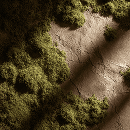 Дубовый мох в ароматах JOY PREMIUM