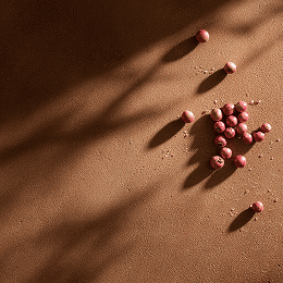 Розовый перец в ароматах JOY PREMIUM