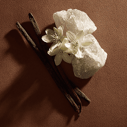 Ваниль в ароматах JOY PREMIUM